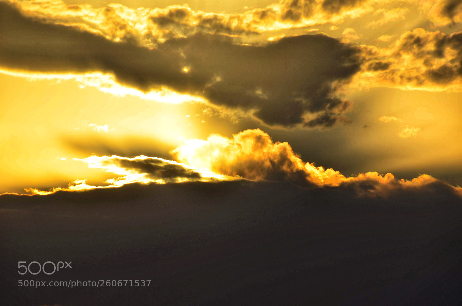Nikon D7000 sample photo. Golden sky photography