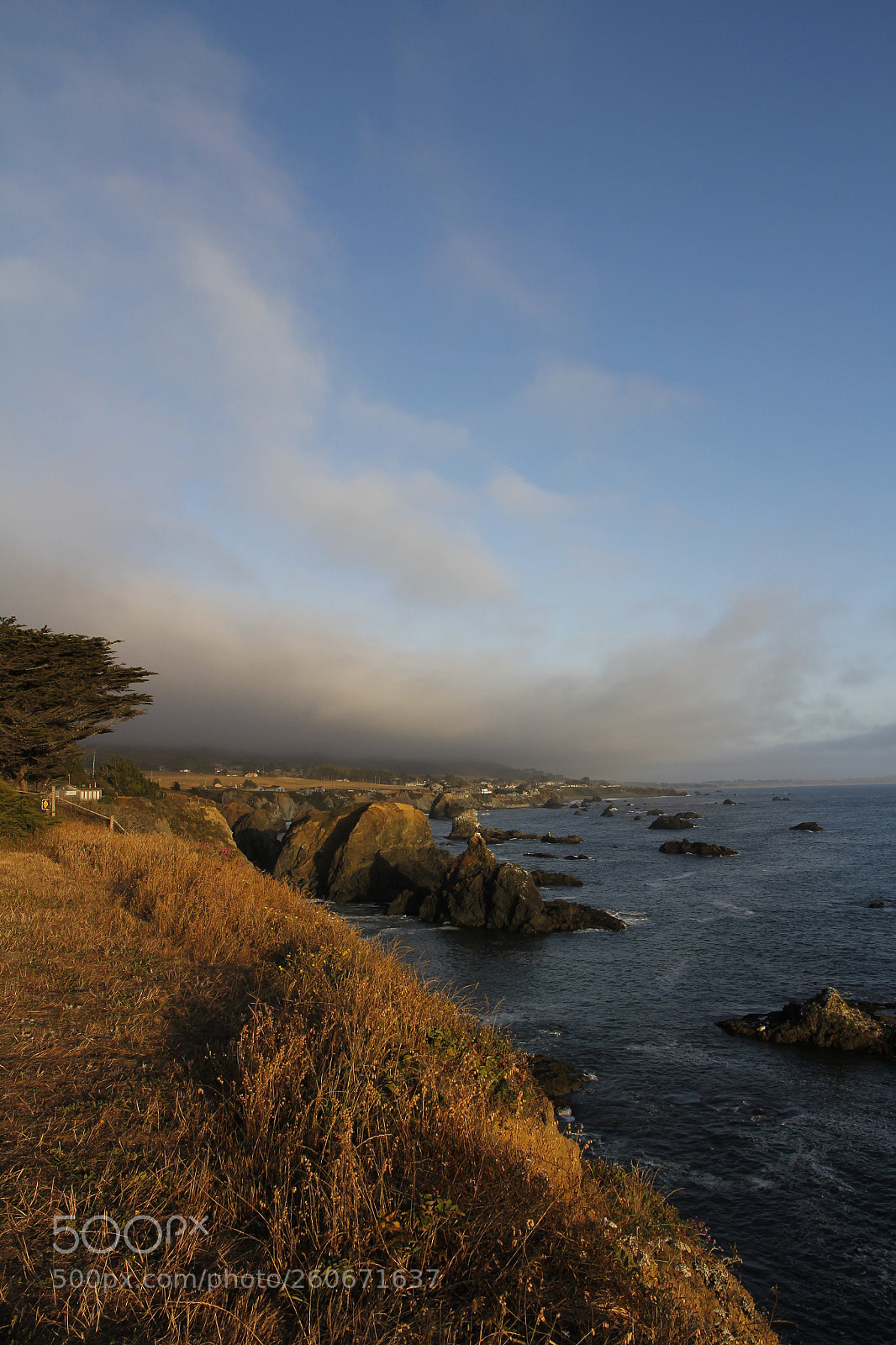 Canon EOS 60D sample photo. Sonoma mile shorelines photography