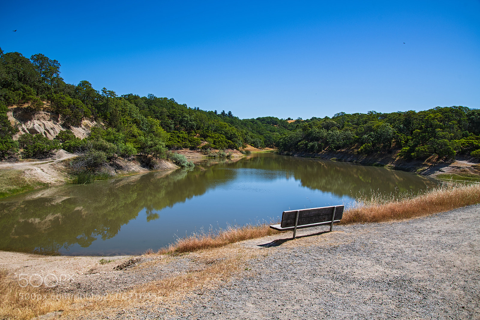 Nikon D850 sample photo. Foothill park windsor ca photography