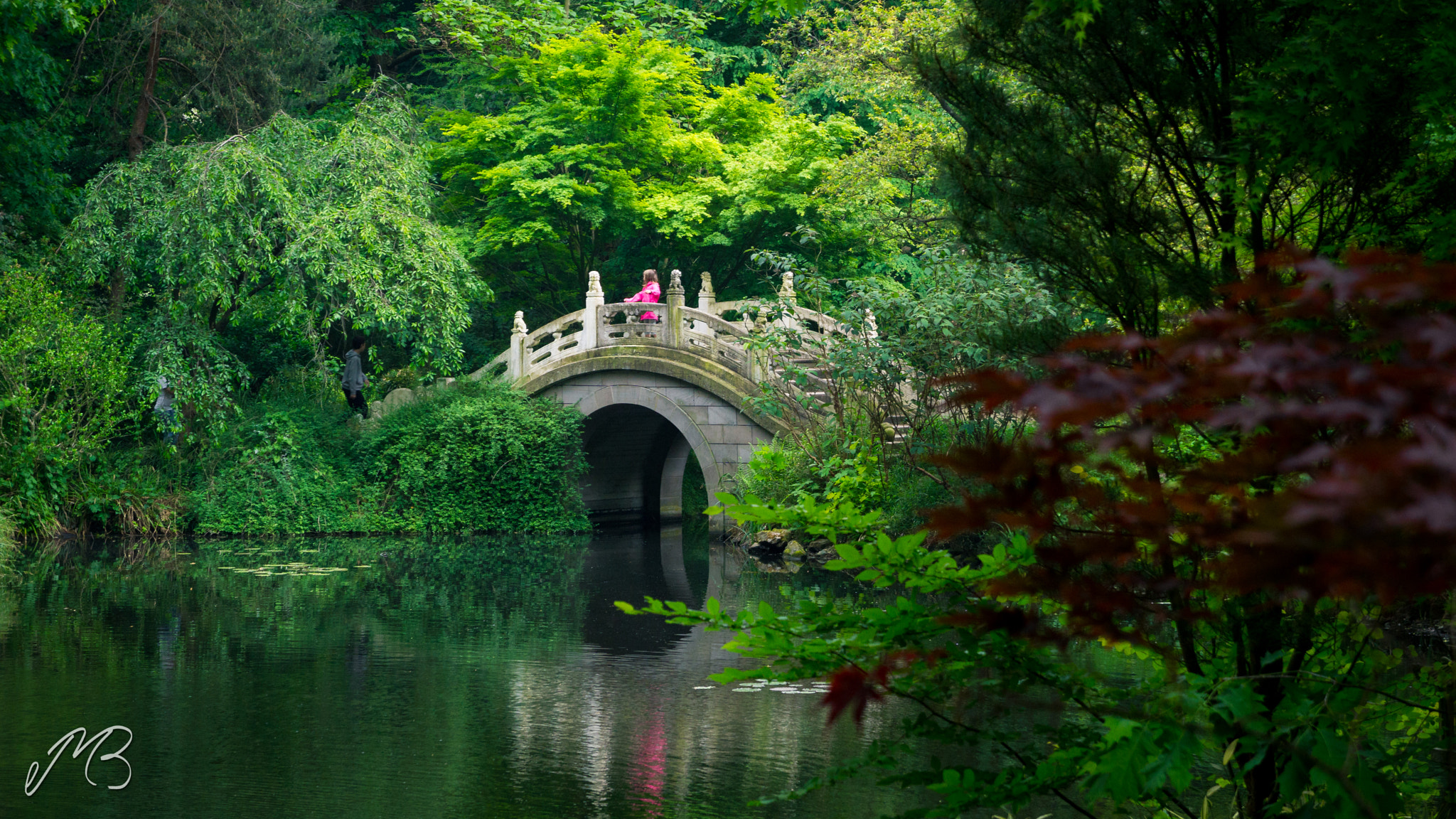 Sony a5100 sample photo. Japanese bridge photography