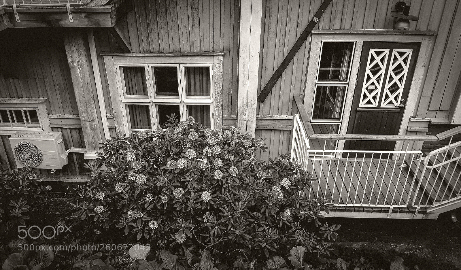 Samsung Galaxy S6 sample photo. Elements bw photography