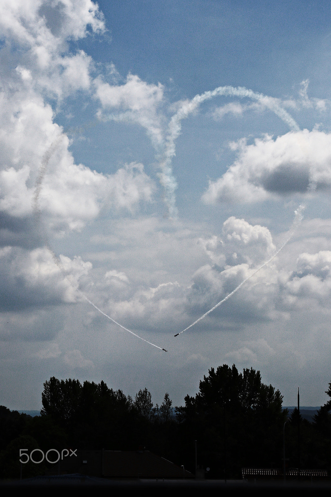 Canon EOS 80D sample photo. The flying bulls - red bull aerobatics team photography