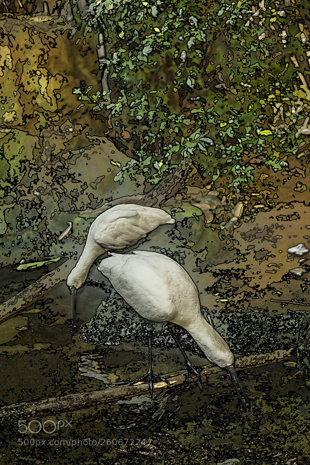 Nikon D600 sample photo. Two birds feeding photography