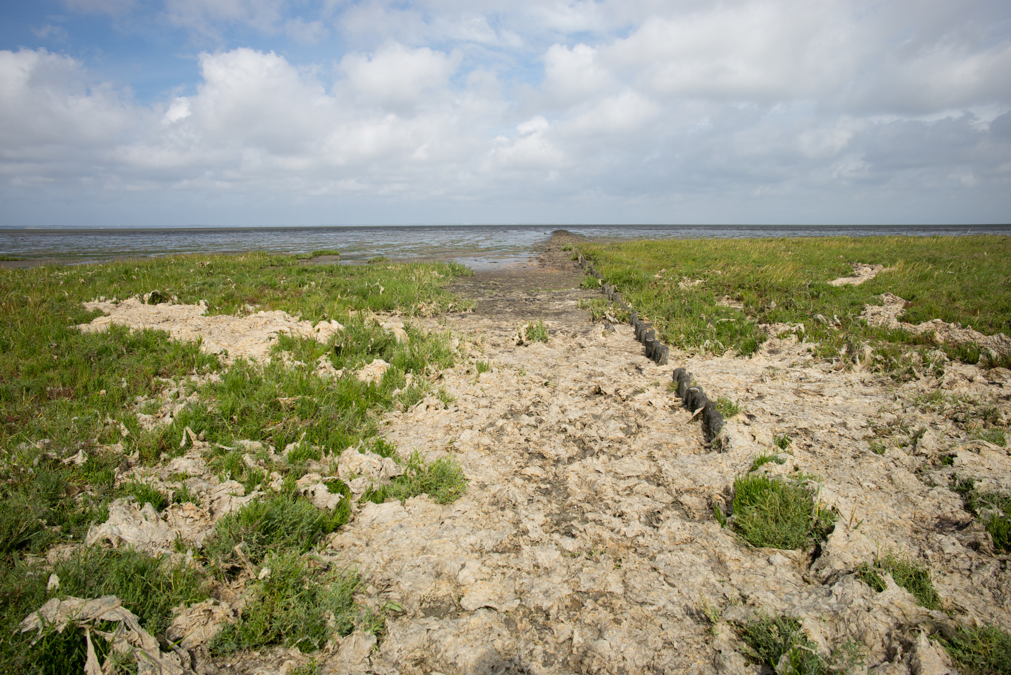 Leica M (Typ 240) sample photo. Wattenmeer photography