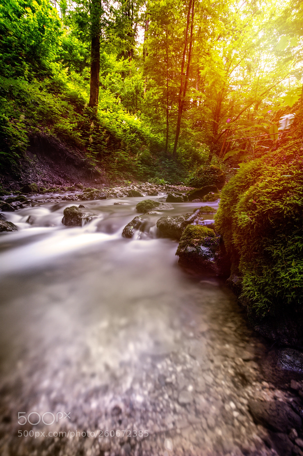 Nikon D7100 sample photo. Lake river nature forest photography