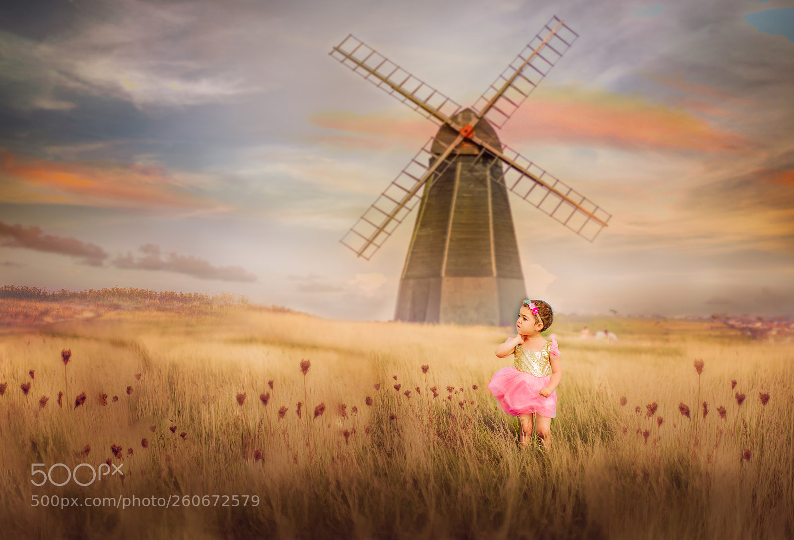 Canon EOS 6D sample photo. Windmill photography