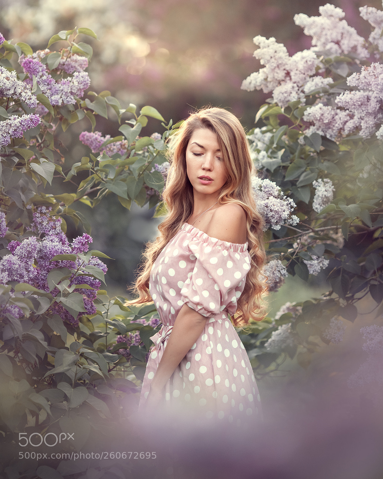 Canon EOS 5D Mark II sample photo. Lilac photography