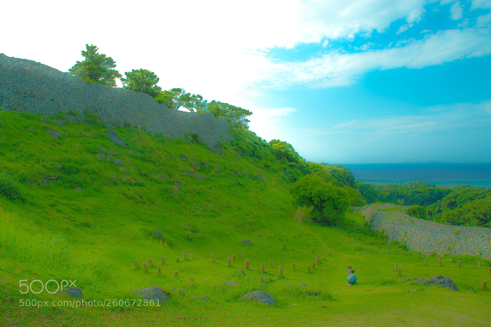 Nikon D7100 sample photo. A tender ruin photography