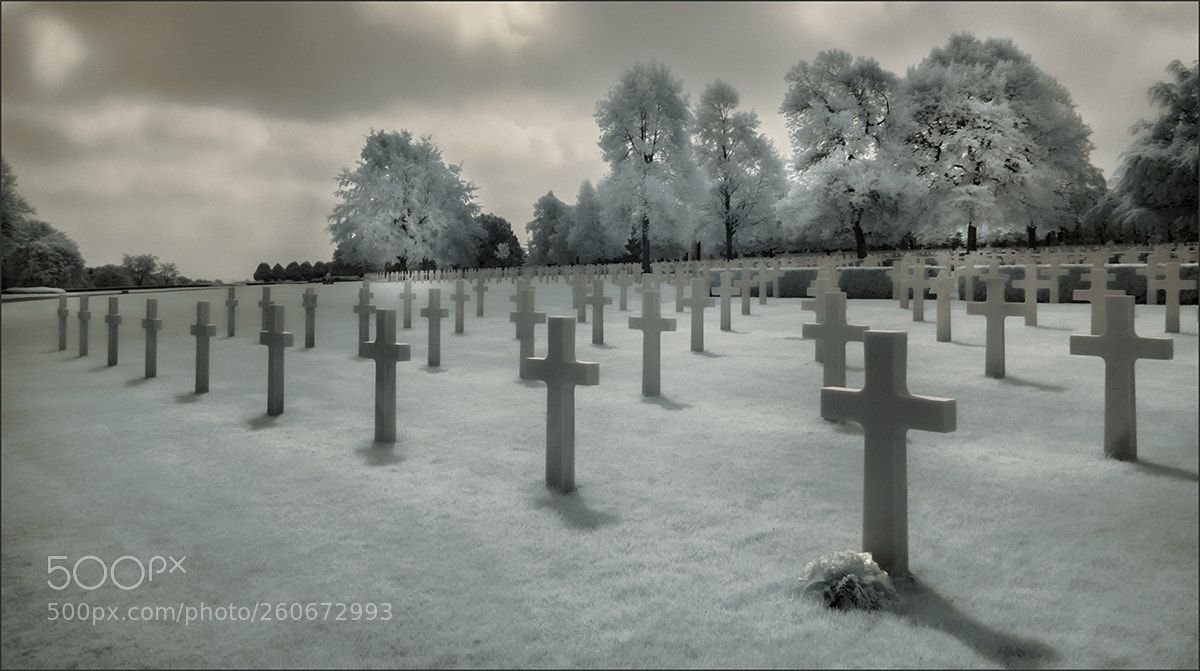 Nikon D90 sample photo. American cemetery cambridge photography