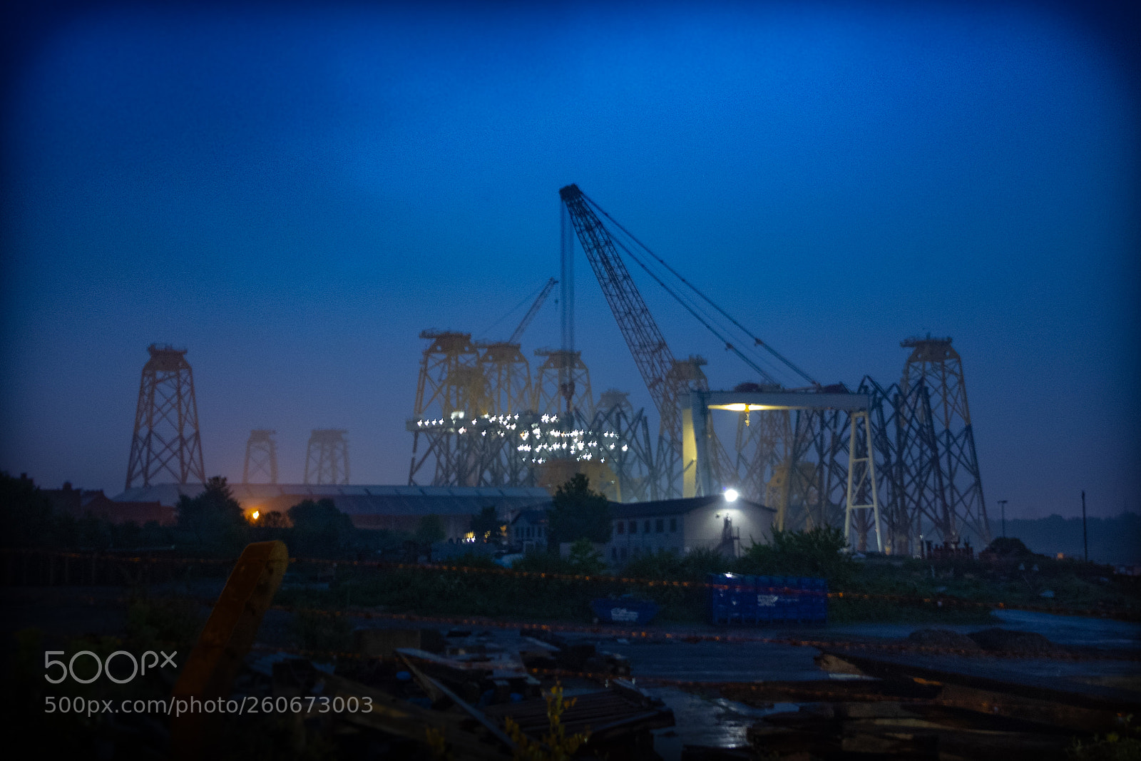 Canon EOS 6D sample photo. Cranes photography