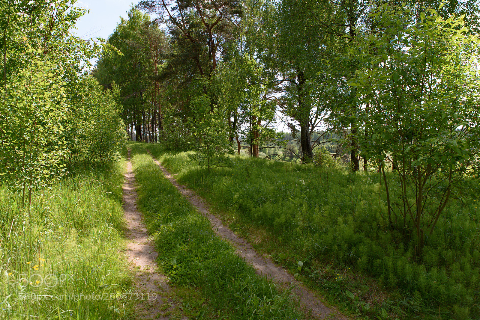 Nikon D750 sample photo. Wap photography