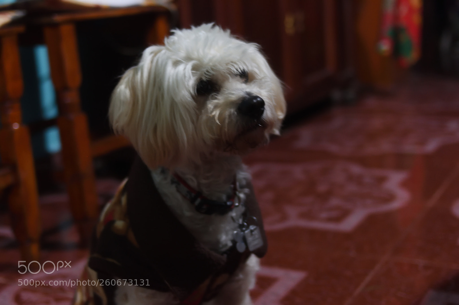 Nikon D3400 sample photo. Bbafo photography