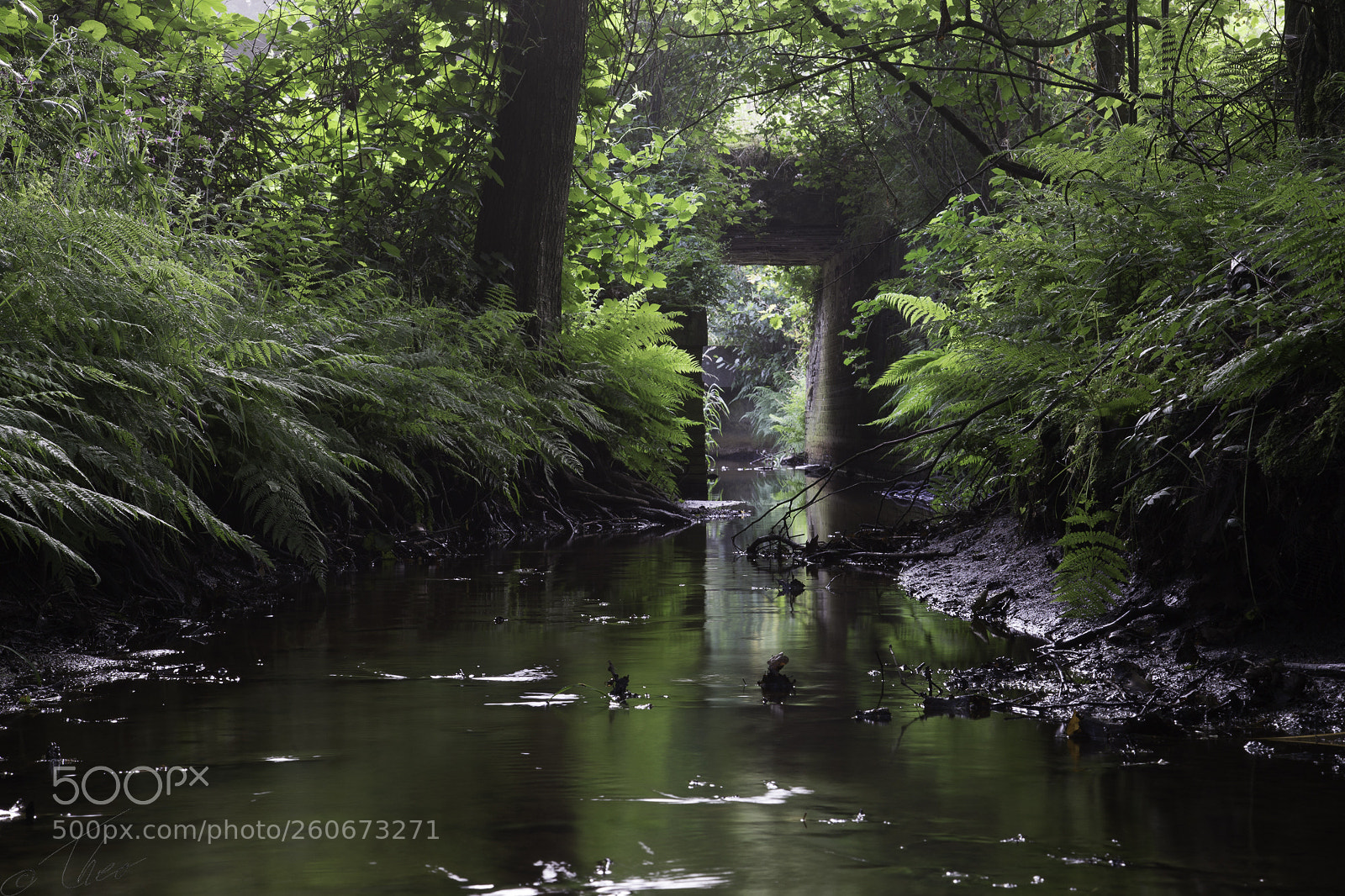 Canon EOS 6D sample photo. At the old railroad photography