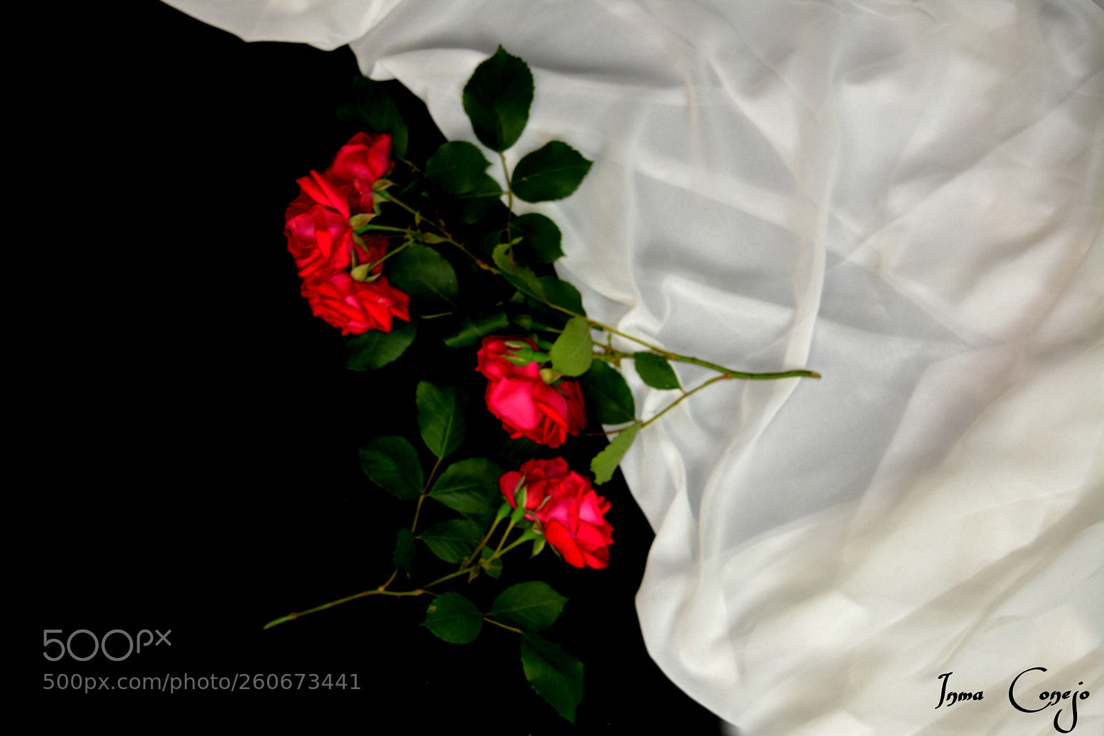 Nikon D5200 sample photo. Blanco y negro photography