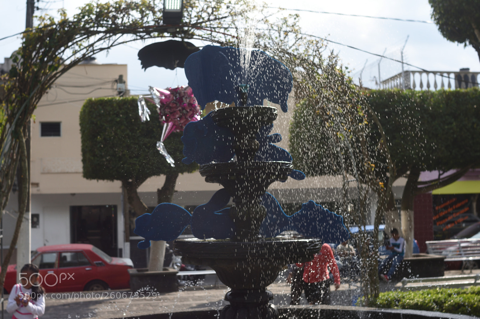 Nikon D3400 sample photo. Dbcaeeo photography