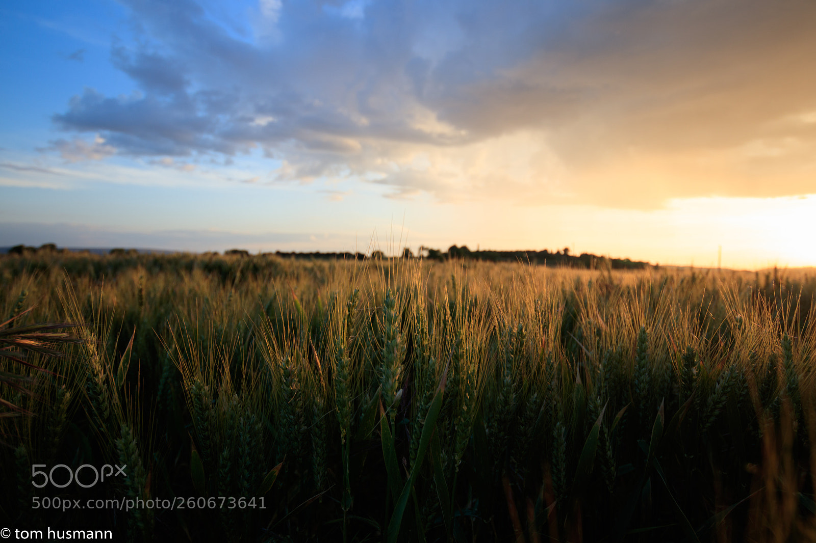 Canon EOS 77D (EOS 9000D / EOS 770D) sample photo. Evening mood in france photography