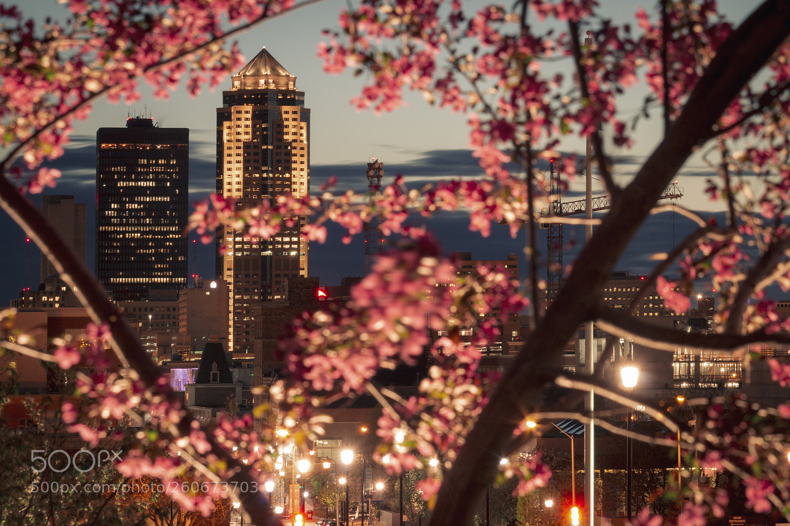 Canon EOS 70D sample photo. "blooming city" photography