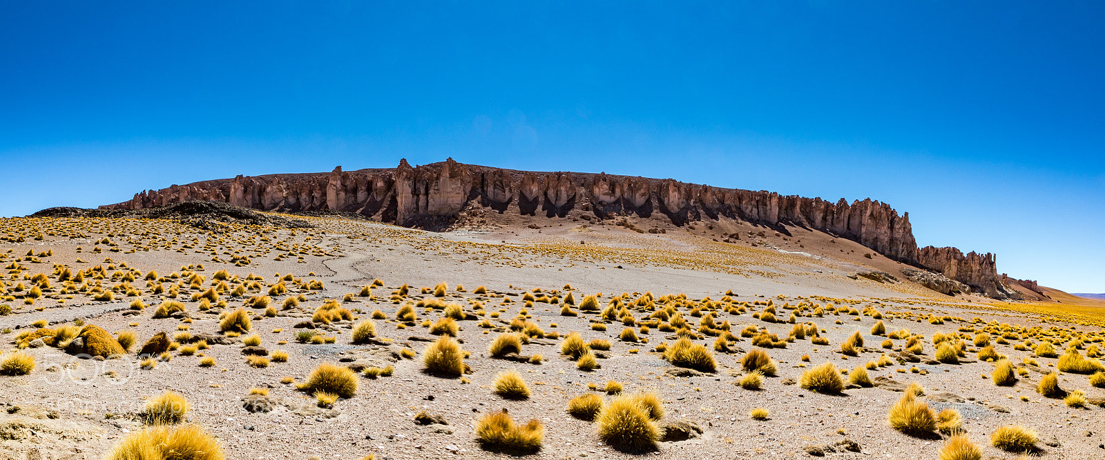 Canon EOS 5D Mark IV sample photo. Tara cathedrals - catedrais photography