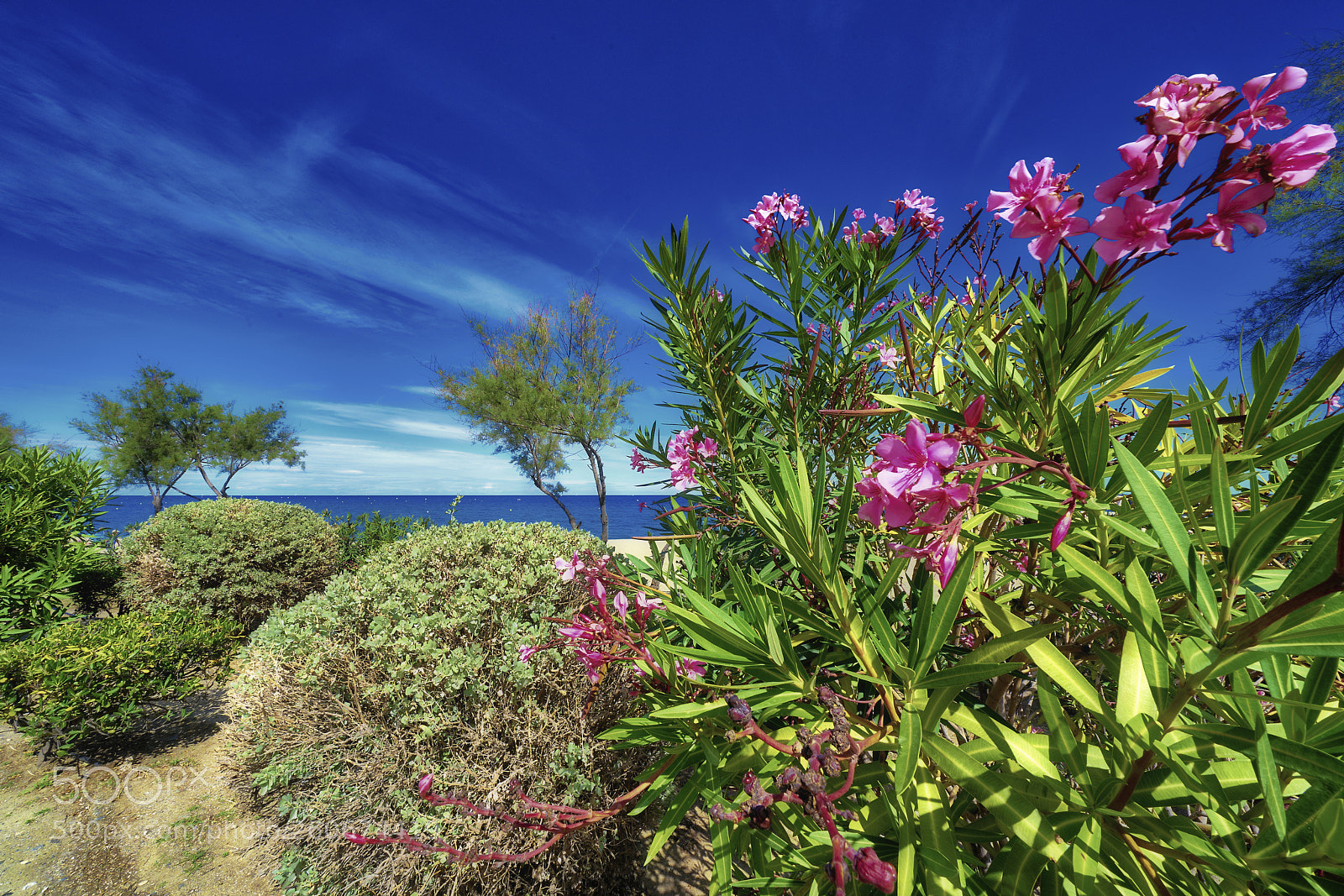 Sony a7R II sample photo. Mediterranean light photography