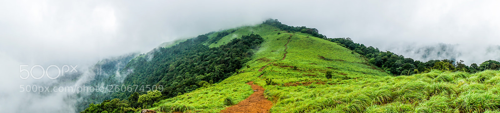 Sony a7R II sample photo. A panorama view of photography