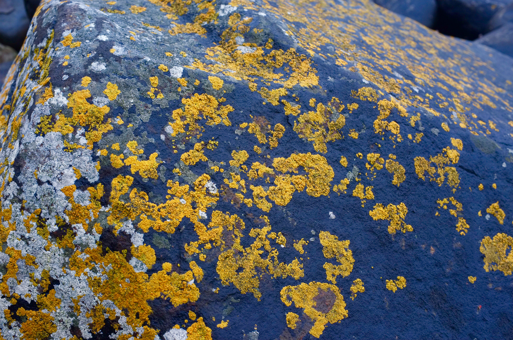 Fujifilm FinePix X100 sample photo. Rocks photography