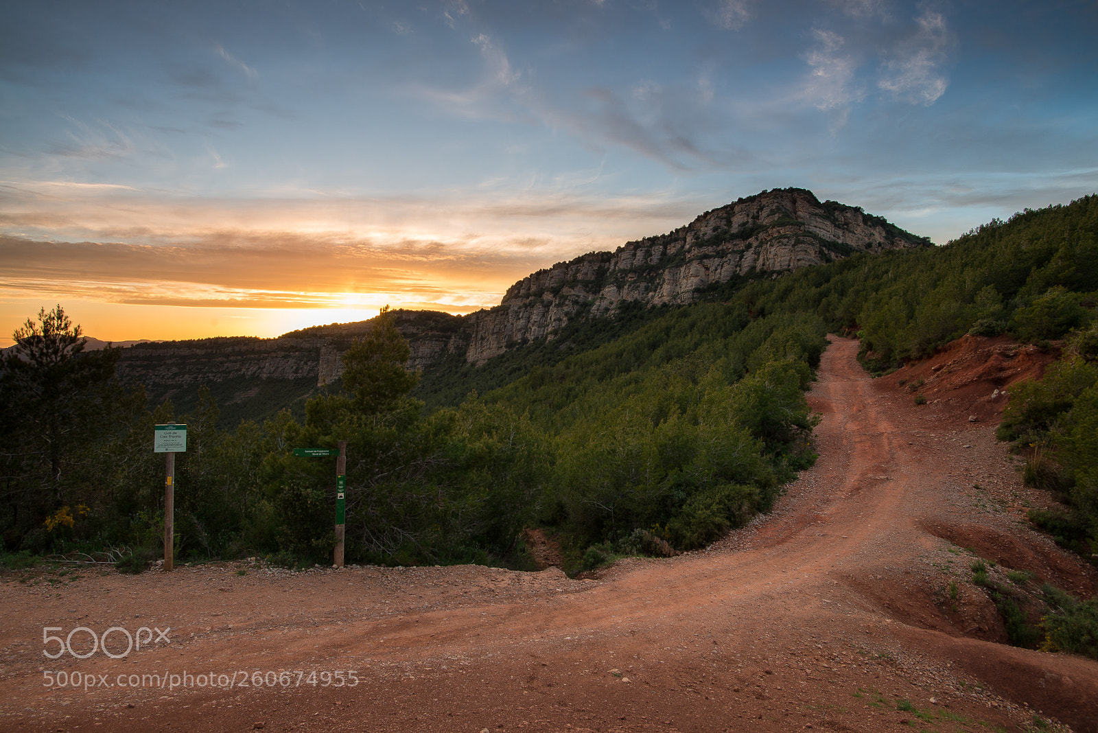 Nikon D610 sample photo. Cingles de bertí photography