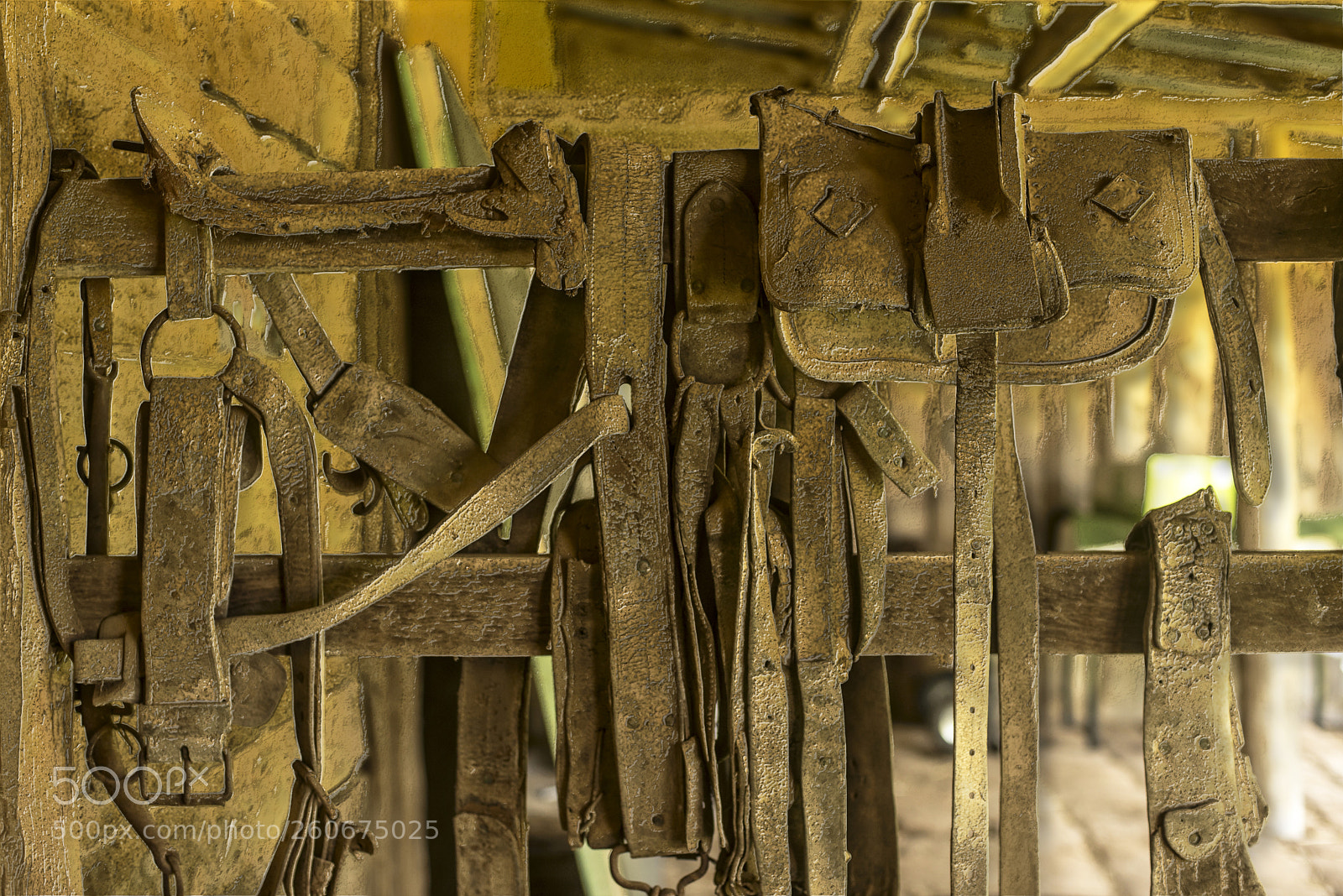 Nikon D600 sample photo. Sadlery photography