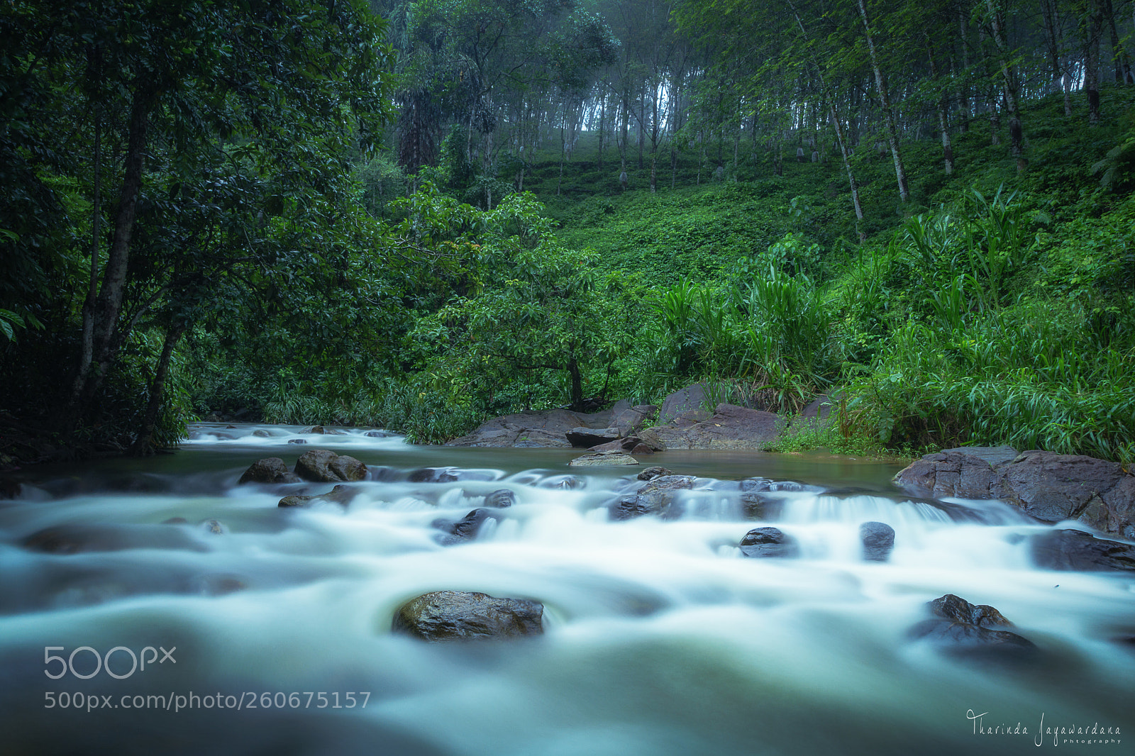 Nikon D7200 sample photo. Hidden stream photography