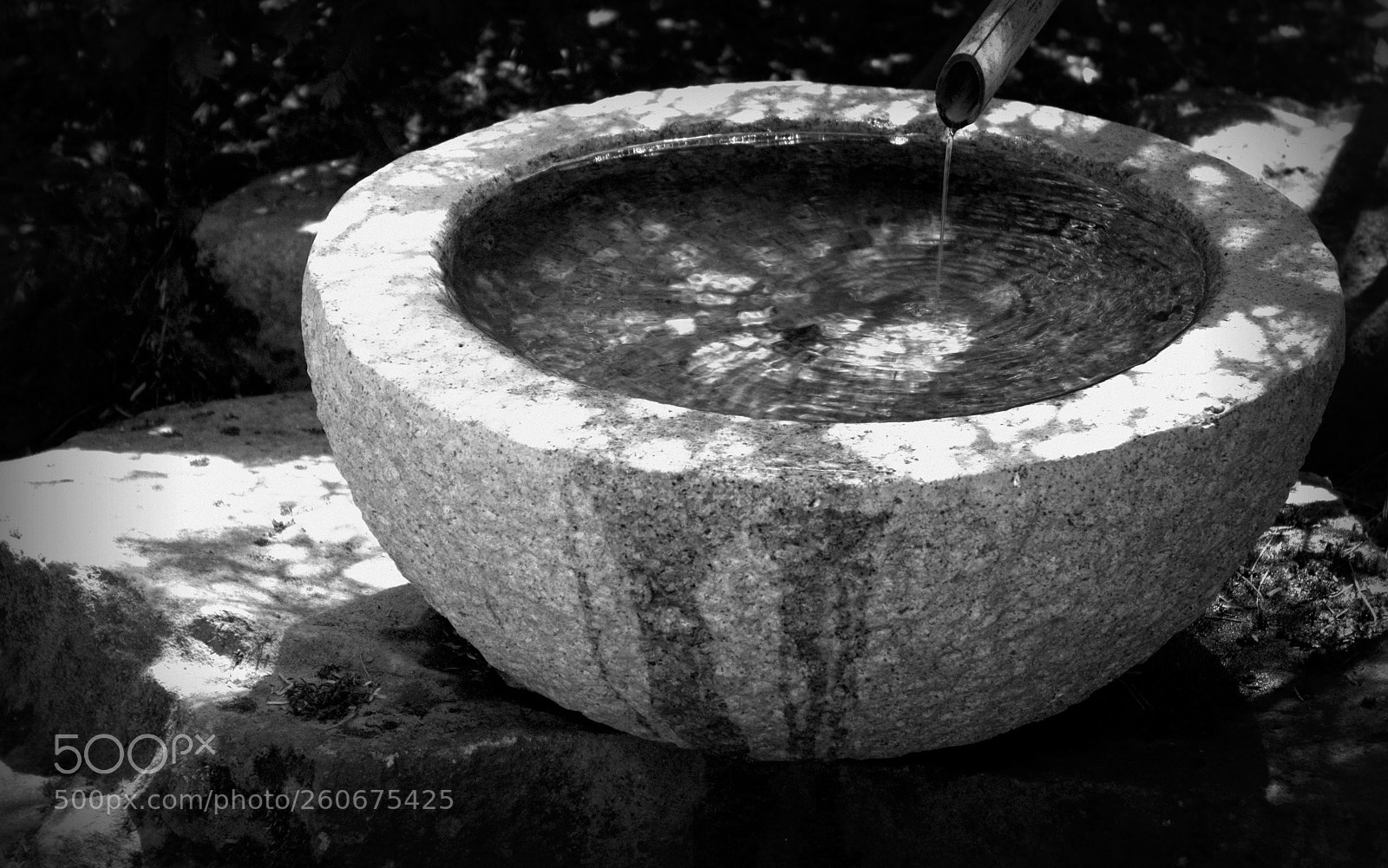 Canon EOS 600D (Rebel EOS T3i / EOS Kiss X5) sample photo. Water basin b&w photography