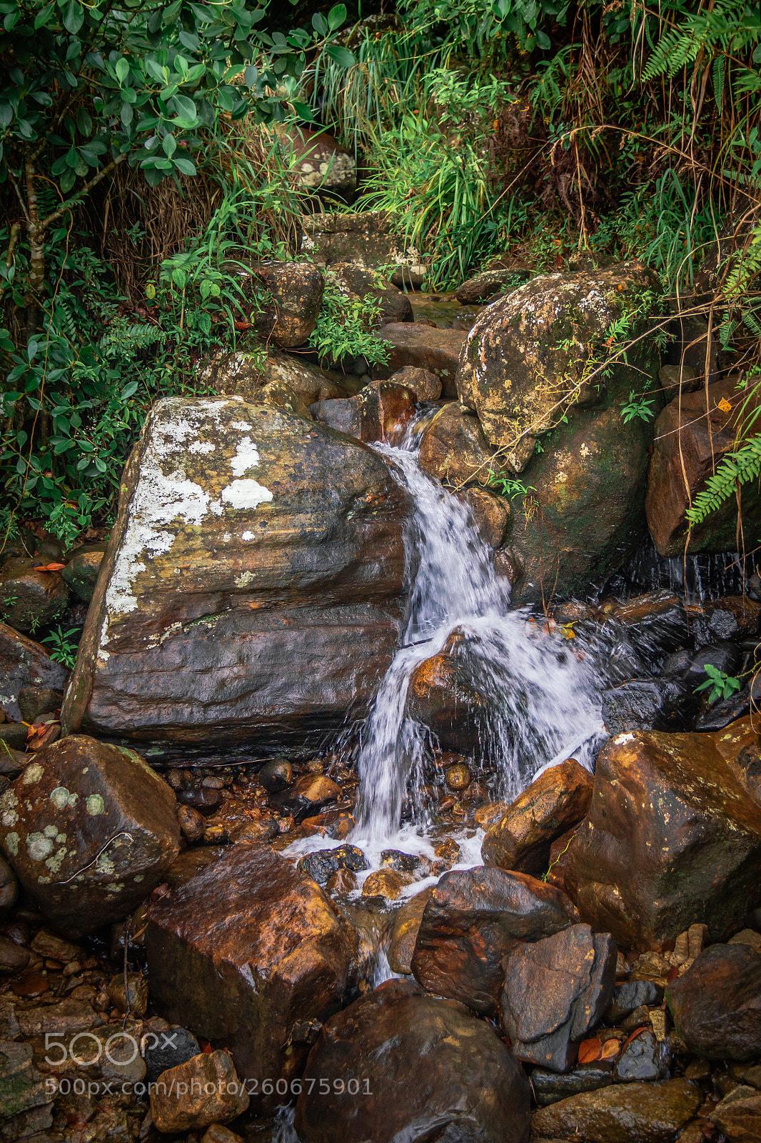 Canon EOS 600D (Rebel EOS T3i / EOS Kiss X5) sample photo. Fresh water in the photography