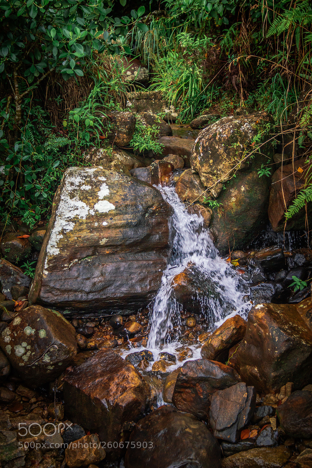 Canon EOS 600D (Rebel EOS T3i / EOS Kiss X5) sample photo. Fresh water in the photography