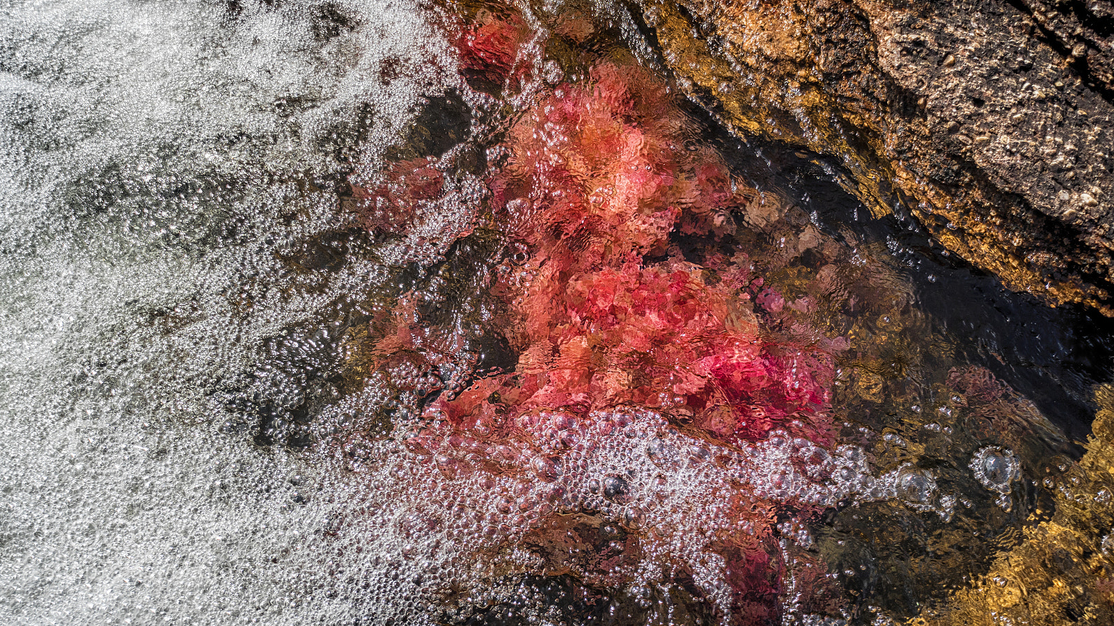 Nikon D750 sample photo. 04.jpg photography