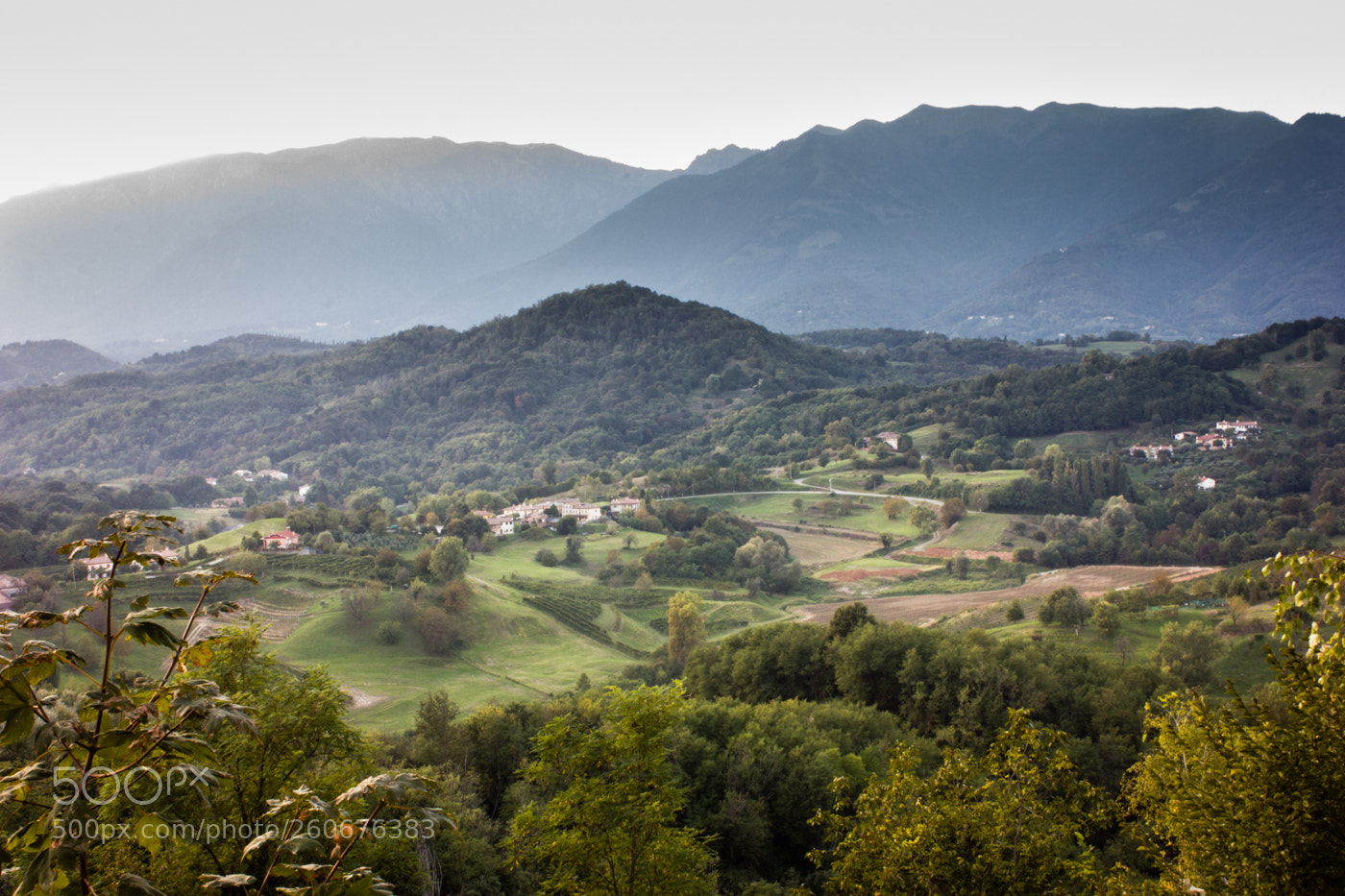 Canon EOS 550D (EOS Rebel T2i / EOS Kiss X4) sample photo. Northing hills photography