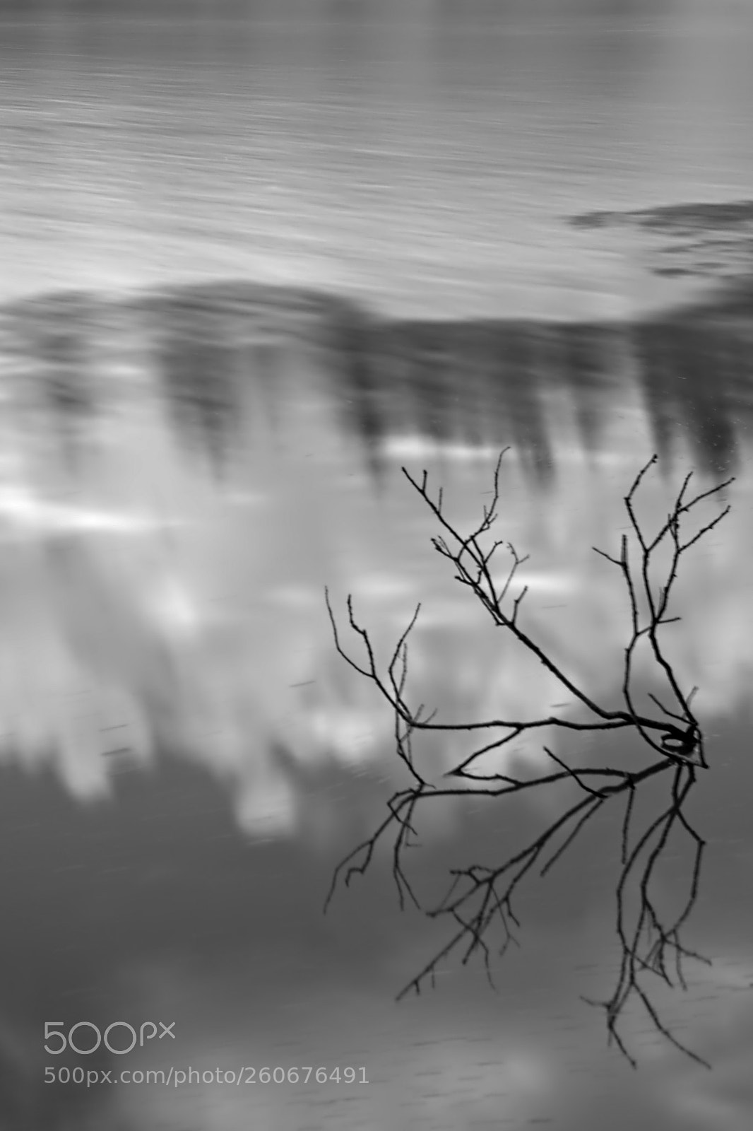 Nikon D5300 sample photo. Ast im wasser photography