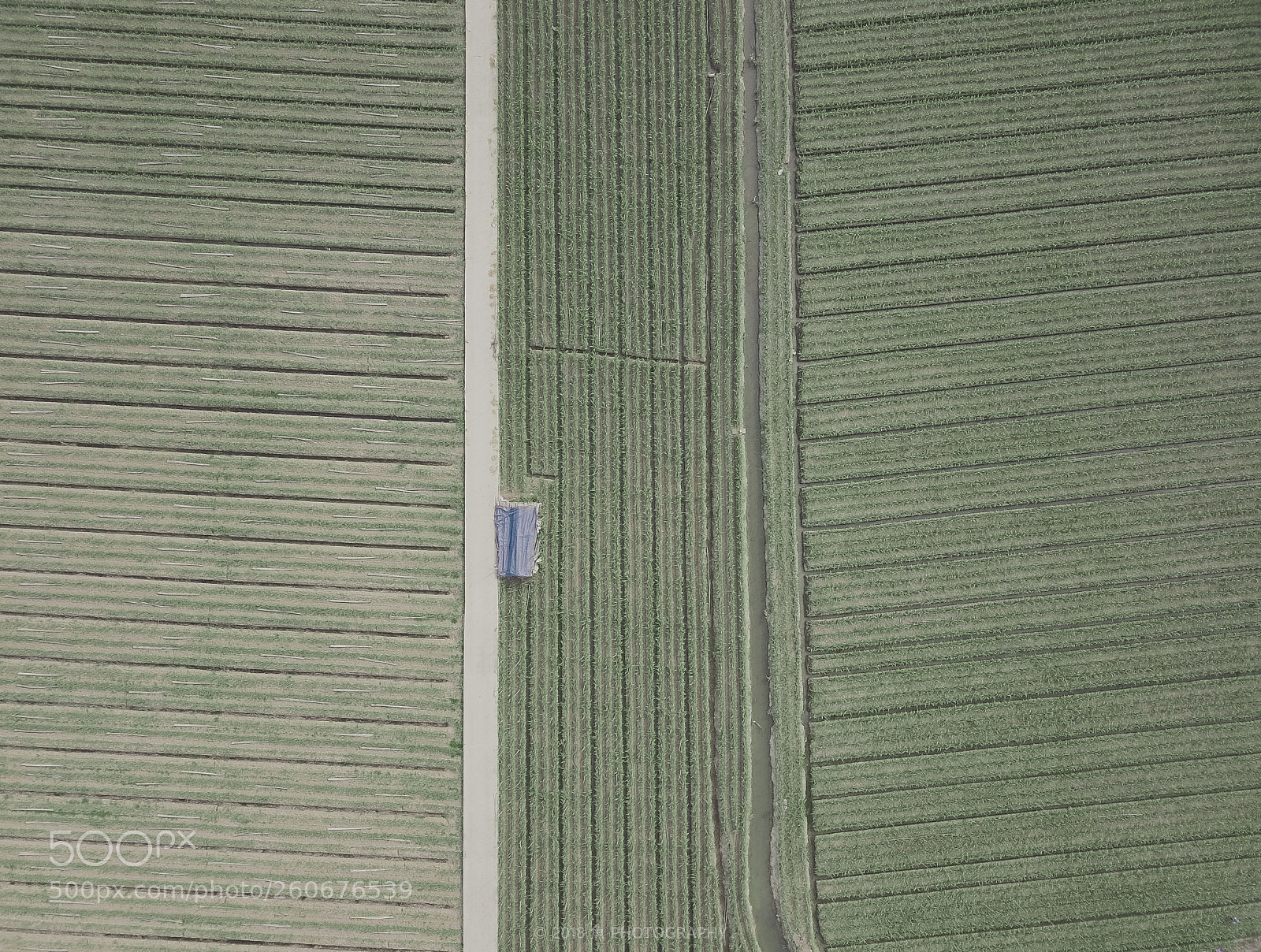 DJI FC220 sample photo. Untitled photography