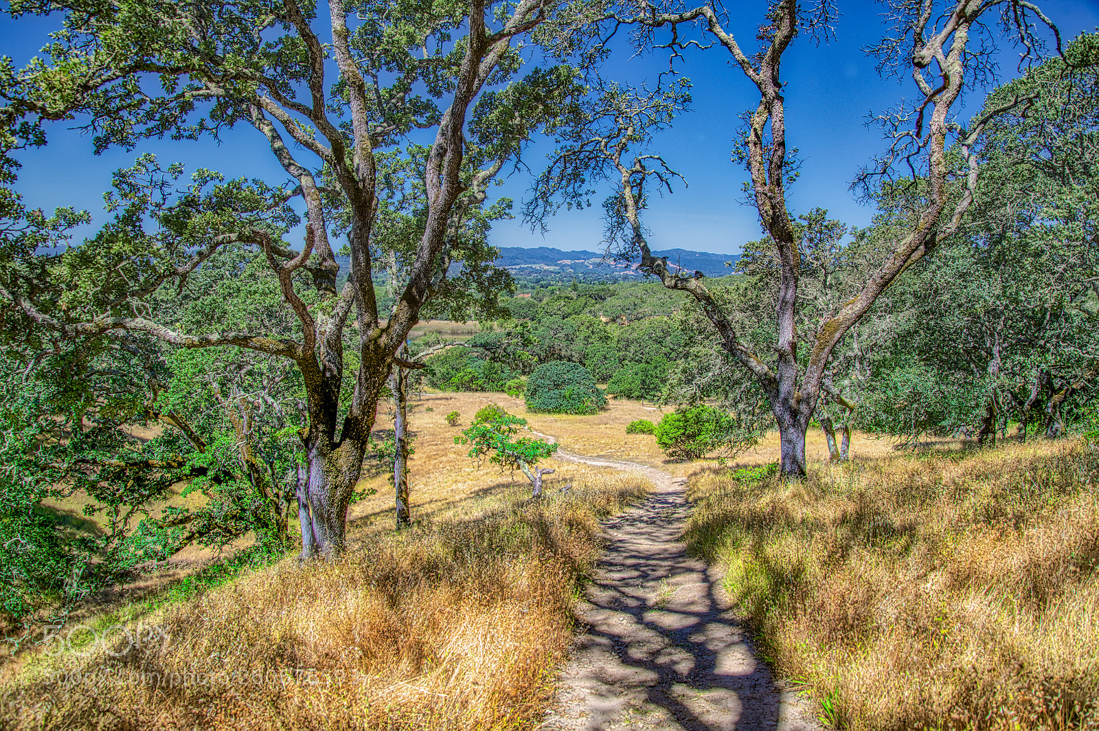Nikon D850 sample photo. Hiking in windsor photography
