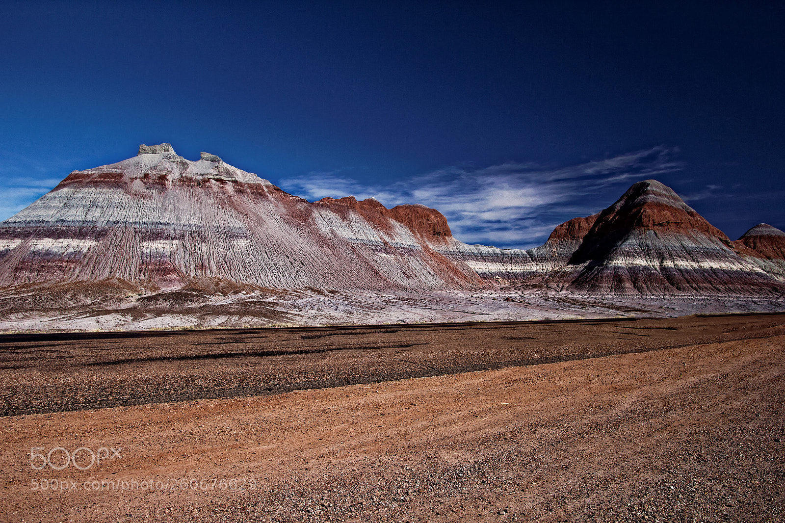 Canon EOS 60D sample photo. Petrified forest road photography