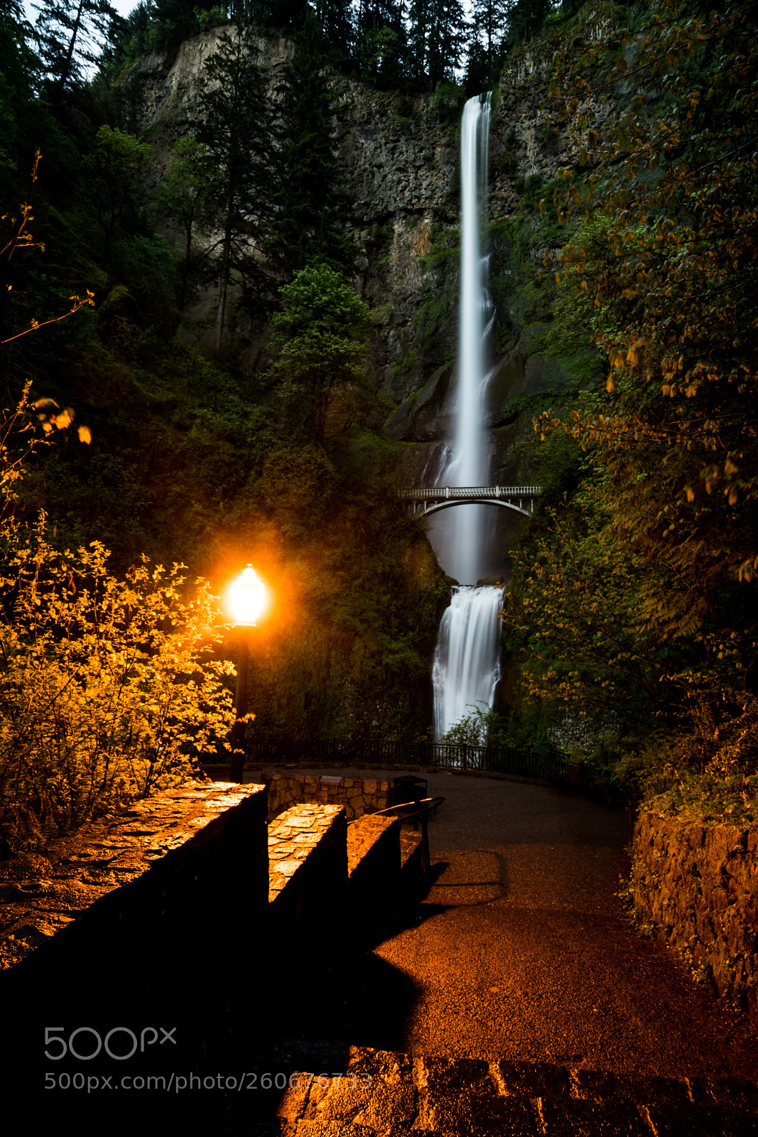Sony a7 II sample photo. Multnomah at night photography