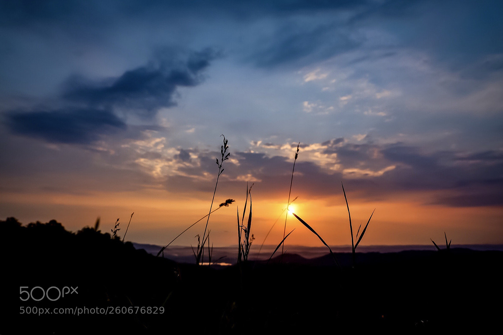 Canon EOS 6D Mark II sample photo. Untitled photography
