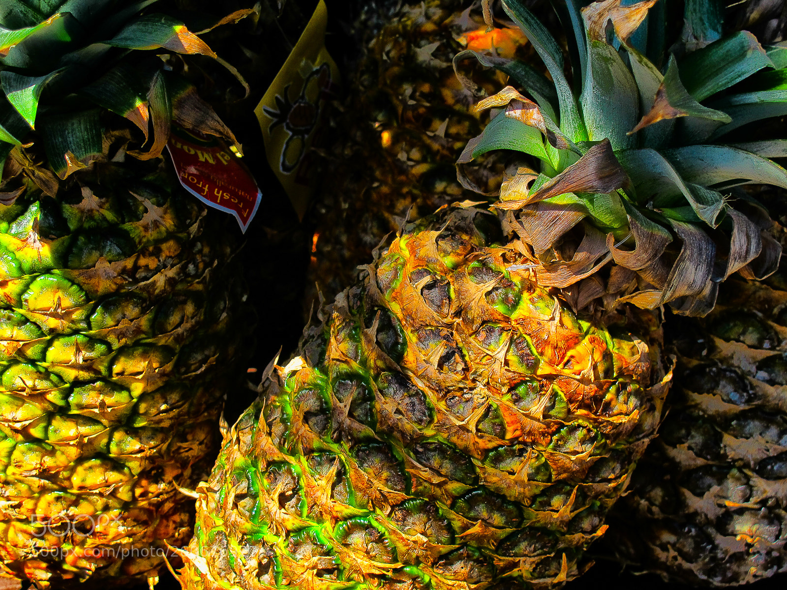 Canon PowerShot G12 sample photo. Pineapples photography