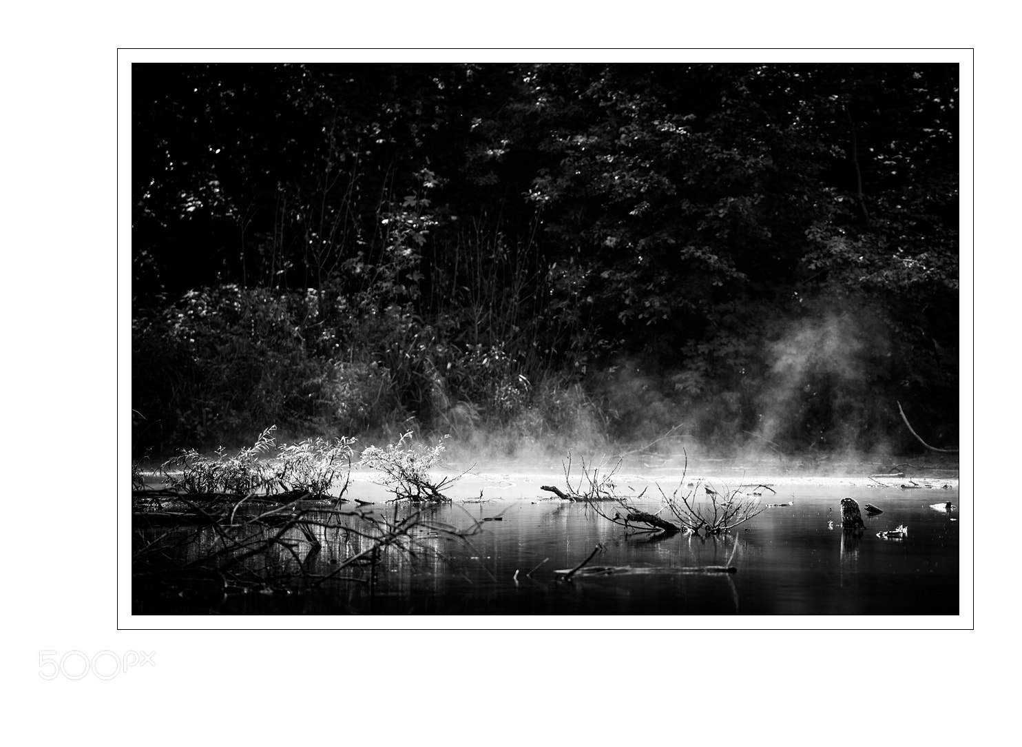 Nikon D5 sample photo. Mist photography