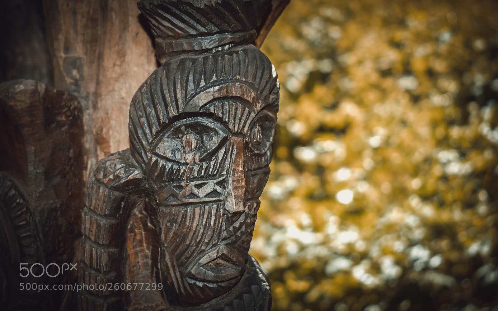 Nikon D5300 sample photo. Totem photography