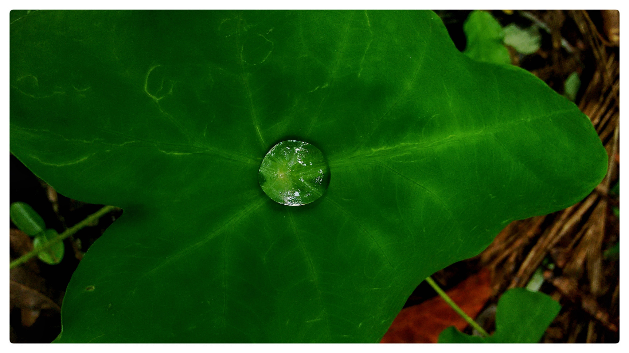 Motorola Moto G (2nd Gen) sample photo. Rainy days photography