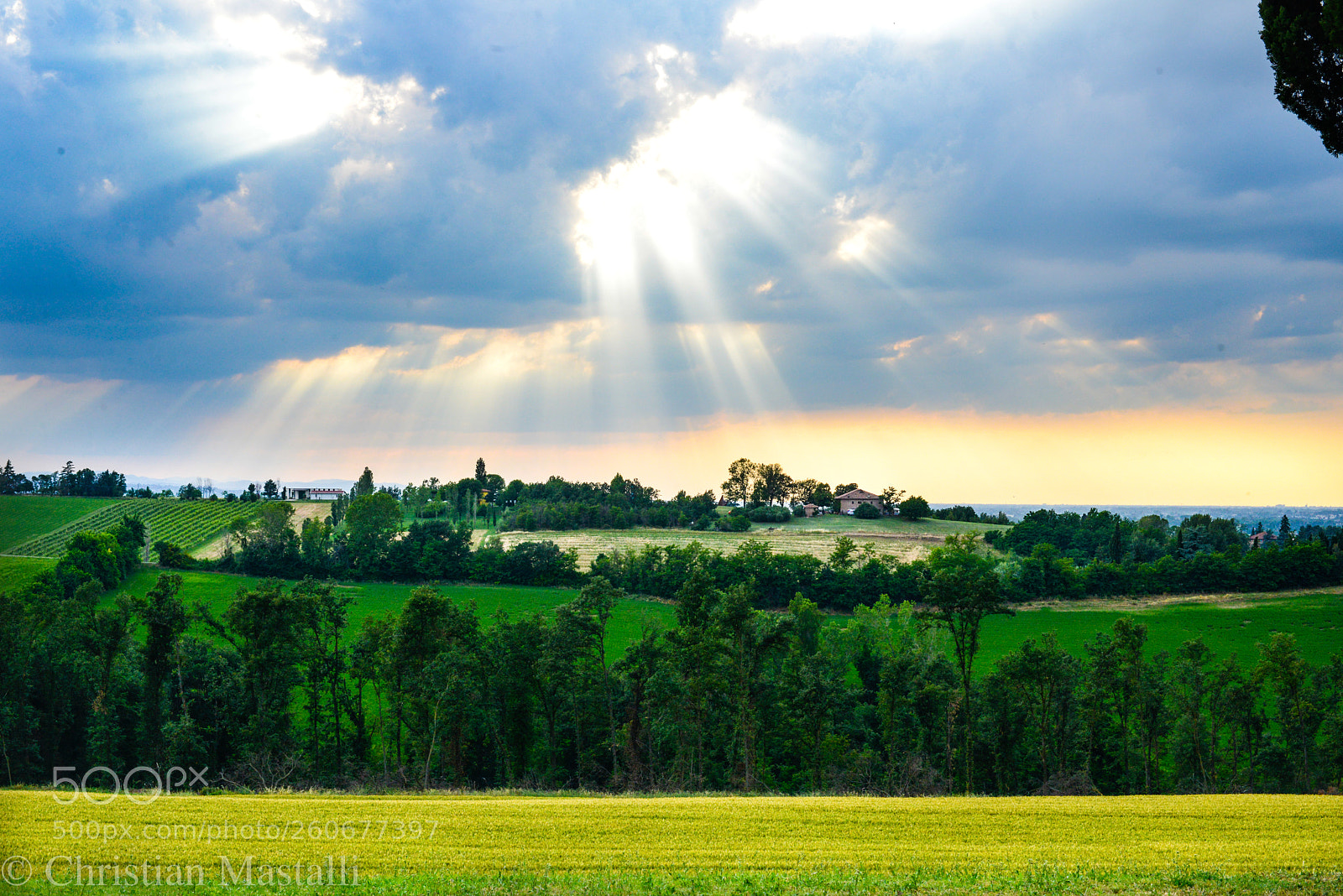 Nikon D800 sample photo. Eterno photography