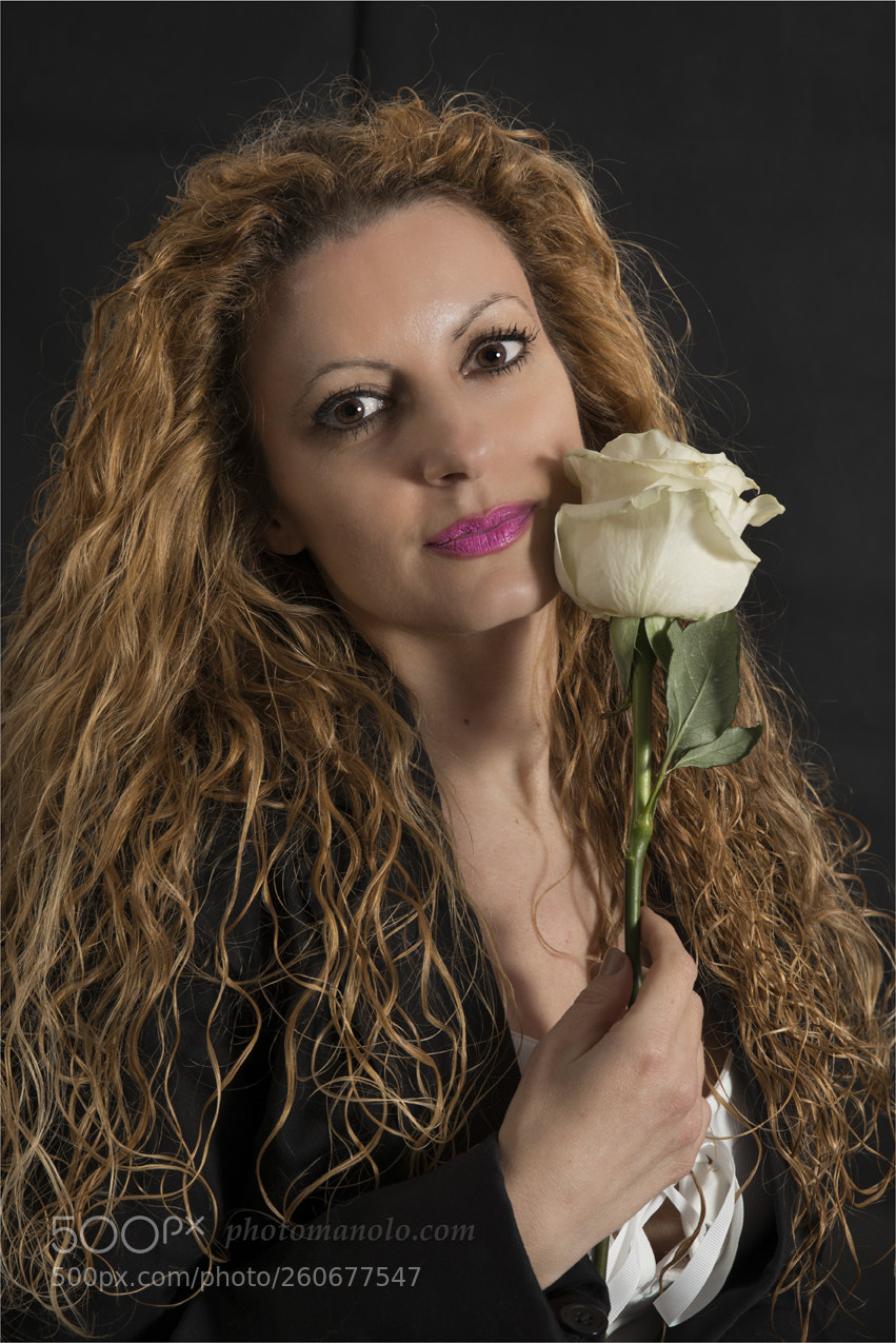 Nikon D800 sample photo. Untitled photography