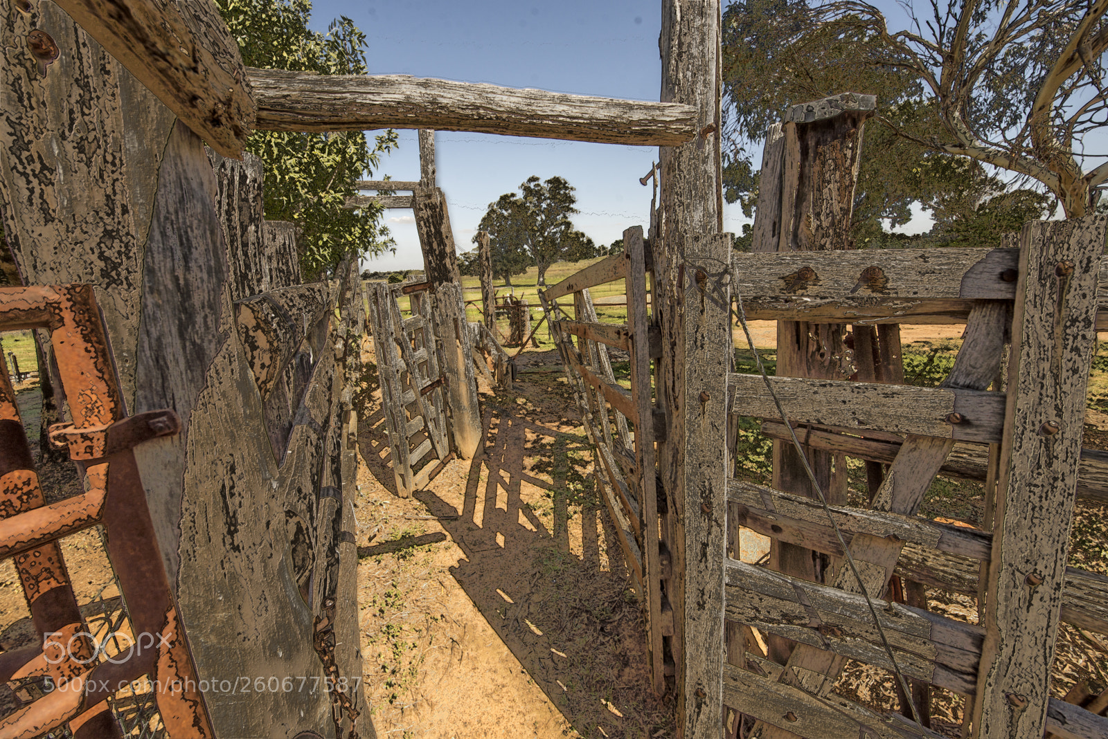 Nikon D600 sample photo. Fence falling down photography