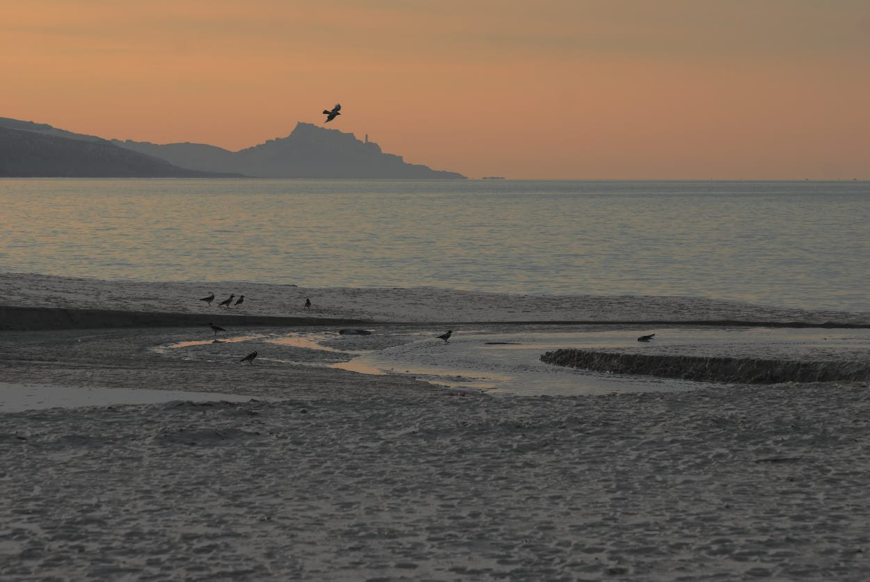 Nikon D80 sample photo. Castelsardo photography