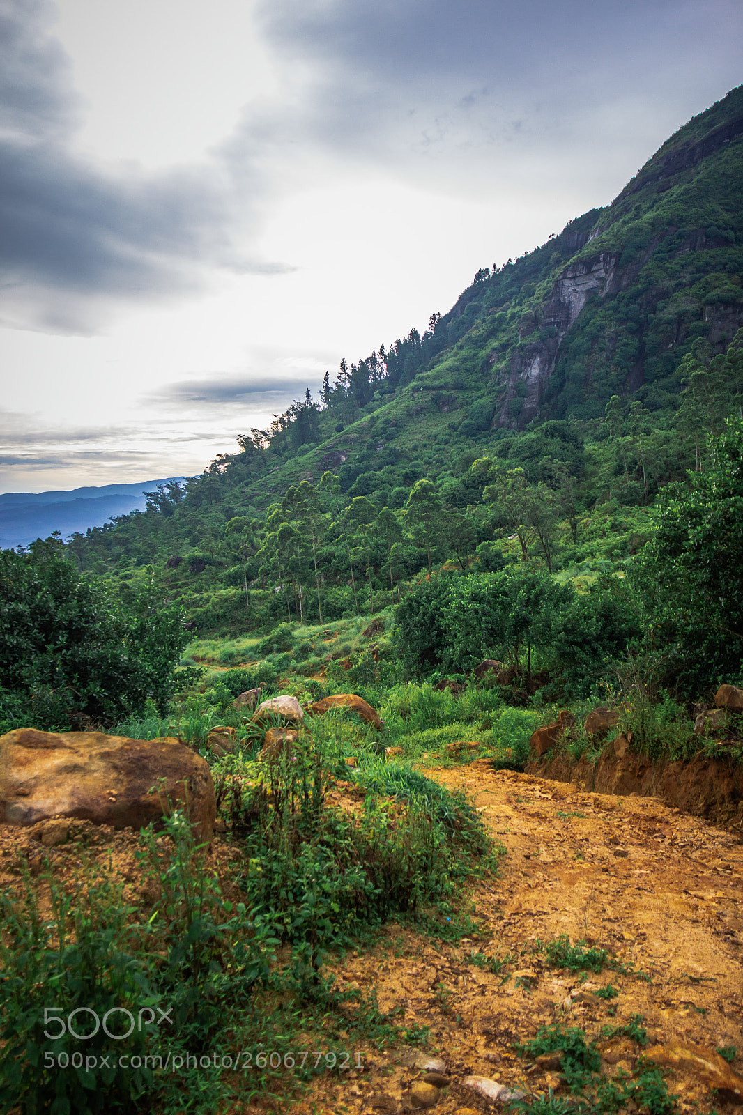 Canon EOS 600D (Rebel EOS T3i / EOS Kiss X5) sample photo. Hiking trail below kabaragala photography