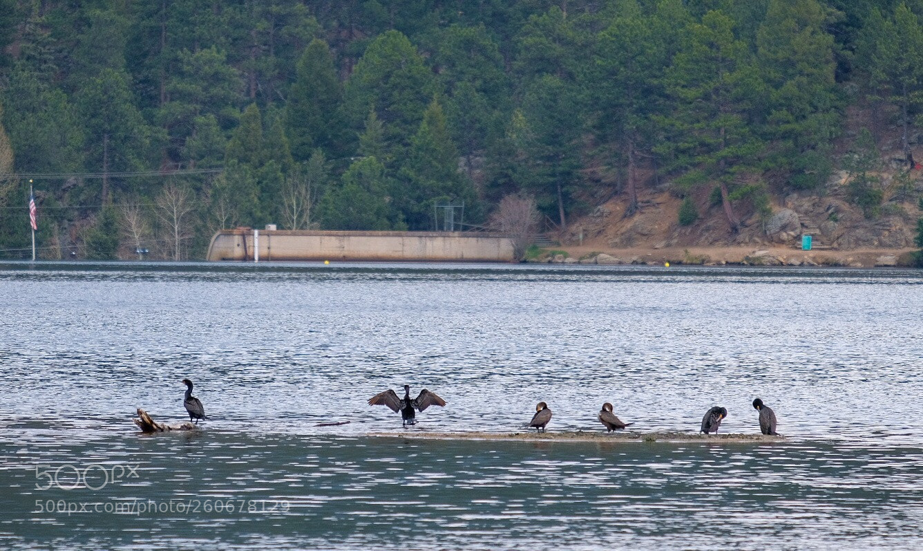 Fujifilm X-H1 sample photo. Evergreen lake, co  photography