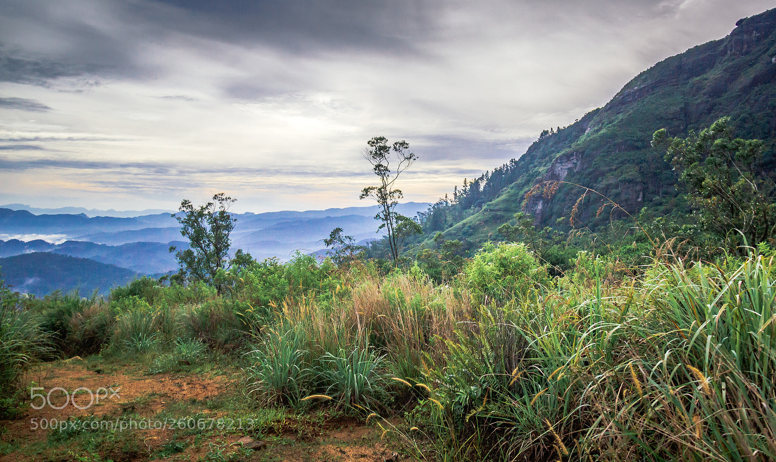 Canon EOS 600D (Rebel EOS T3i / EOS Kiss X5) sample photo. Campsite below kabaragala, sri photography